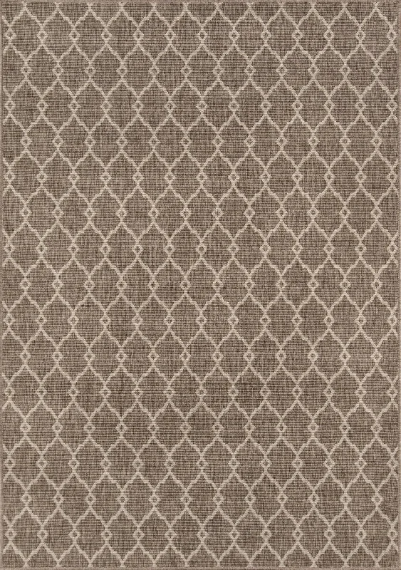 Baja BAJ-2 Taupe Rug