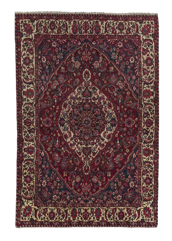 Persian Rug Bakhtiari Handmade Area Tribal 6'9"x10'3" (7x10) Red Floral Design #17676