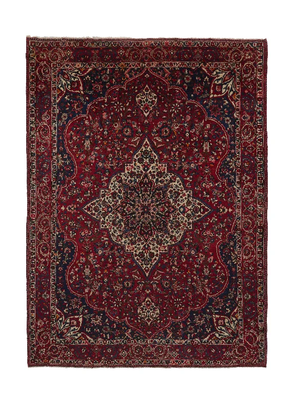 Persian Rug Bakhtiari Handmade Area Tribal 8'9"x12'3" (9x12) Red Floral Design #30695