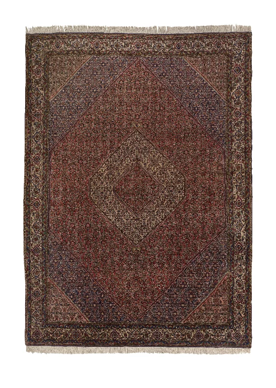 Persian Rug Bijar Handmade Area Traditional 8'6"x11'7" (9x12) Red Blue Herati Design #34382