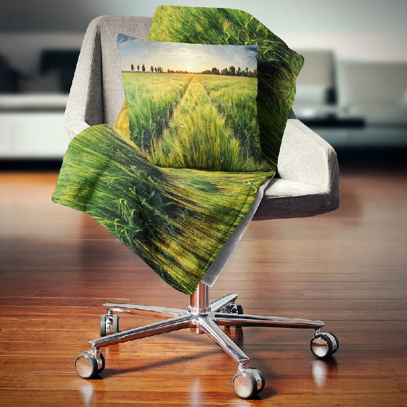 Designart 'Green Wheat Field at Sunset' Landscape Photography Throw Blanket